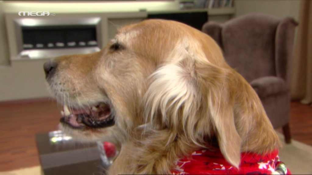 Επεισόδιο 1 - 