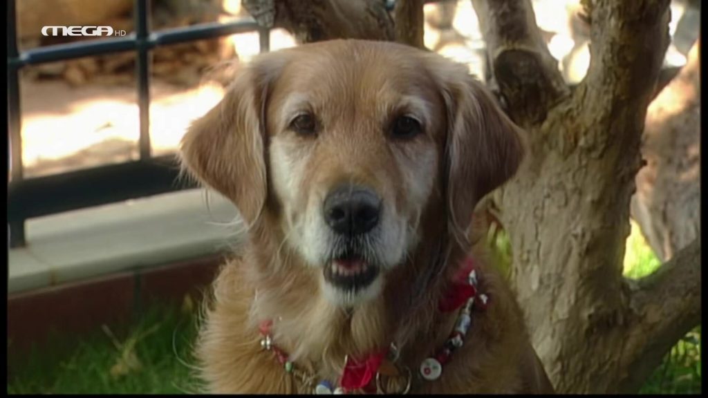 Επεισόδιο 5 - 