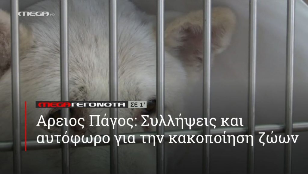 ΜΕGA ΓΕΓΟΝΟΤΑ ΣΕ 1′ - 