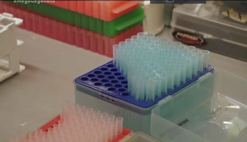 Ο κορωνοϊός είχε εμφανιστεί από τον Σεπτέμβριο του 2019 στην Ιταλία