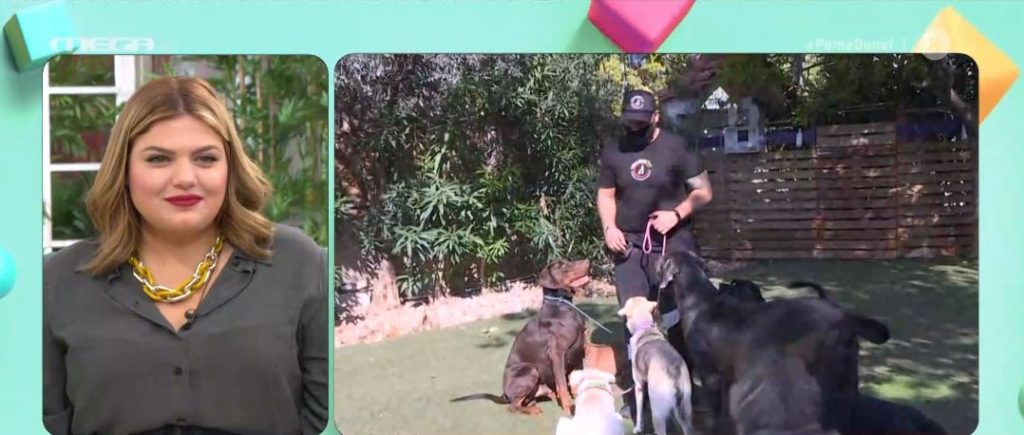 Πώς να εκπαιδεύσουμε τα σκυλάκια μας εν μέσω καραντίνας;