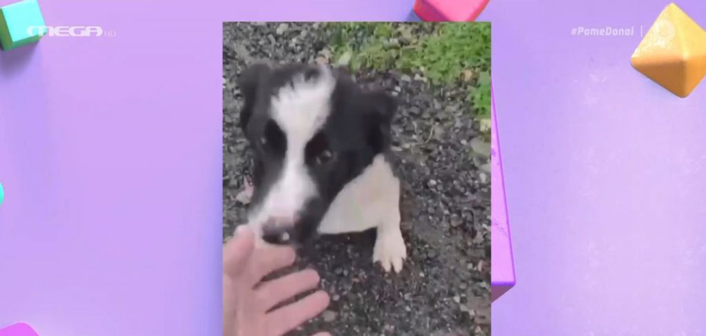 Ας βοηθήσουμε όλοι μαζί τη μικρή Hope