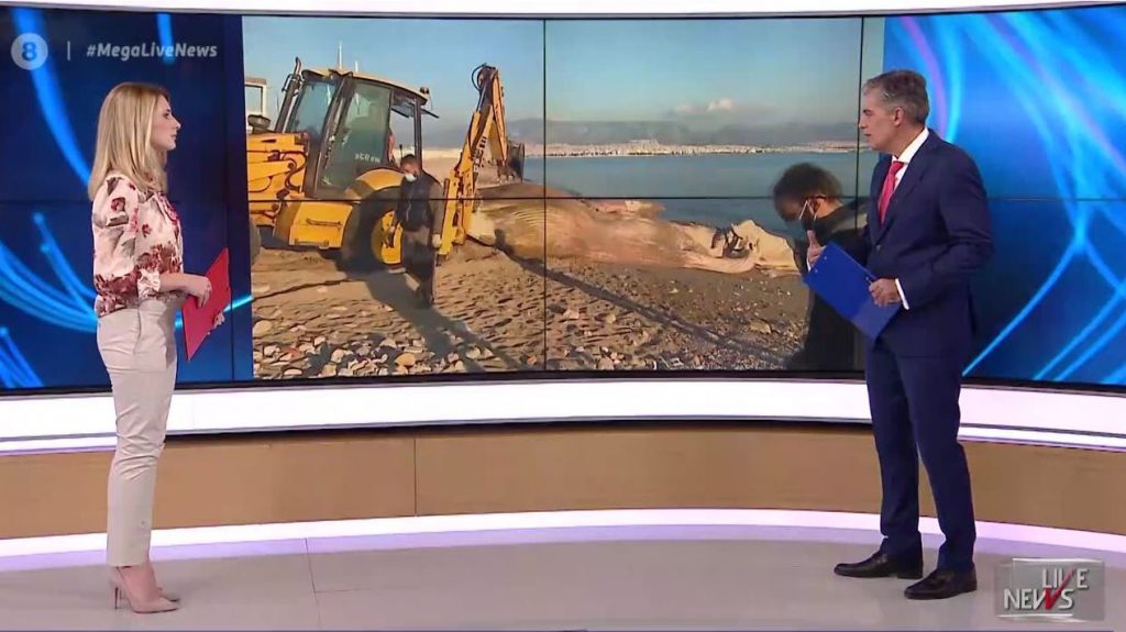 Νεκρή φάλαινα ξεβράστηκε στον Πειραιά
