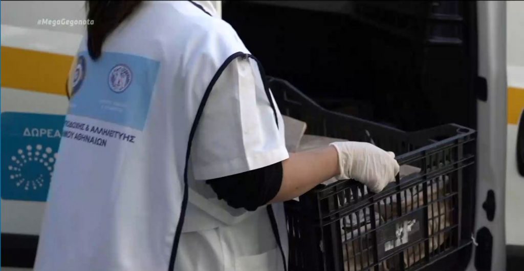 Χριστούγεννα: Γεύματα αγάπης από τον δήμο Αθηναίων