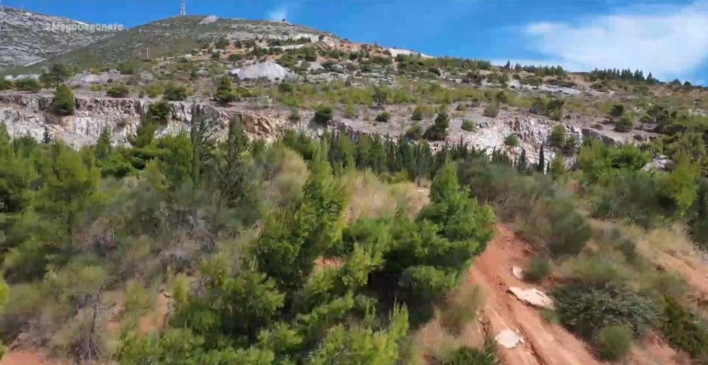 Εθνικό σχέδιο αναδάσωσης προωθεί η κυβέρνηση