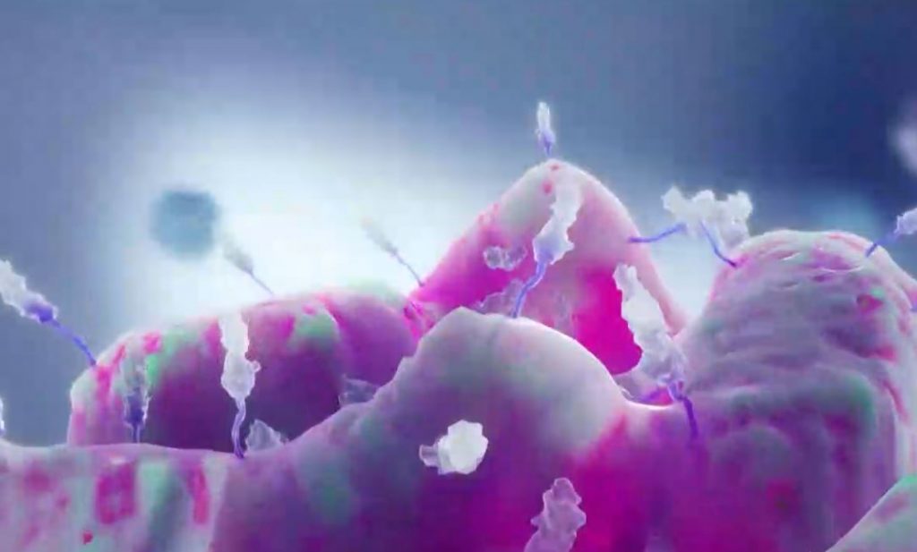 Μεταλλαγμένο στέλεχος κορωνοϊού εντοπίστηκε στην Δυτική Μακεδονία