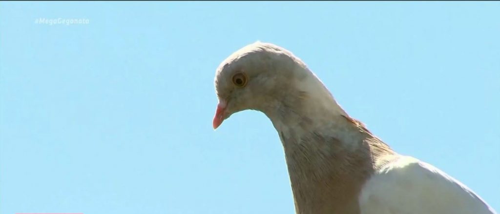 Διεθνείς ειδήσεις με τη ματιά του MEGA