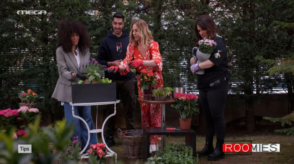 Πώς να φυτέψετε σωστά φυτά & ζαρζαβατικά σε κήπο, αυλή και μπαλκόνι