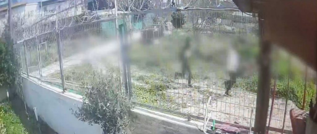 Βίντεο ντοκουμέντο από αδίστακτη συμμορία που λήστευε & ξυλοκοπούσε ηλικιωμένους