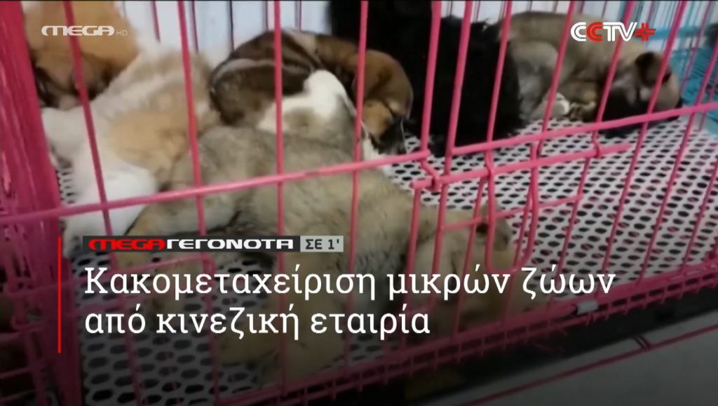 ΜΕGA ΓΕΓΟΝΟΤΑ ΣΕ 1′ - 