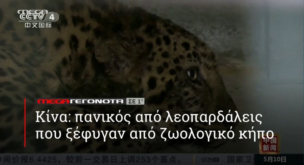 ΜΕGA ΓΕΓΟΝΟΤΑ ΣΕ 1′ - 