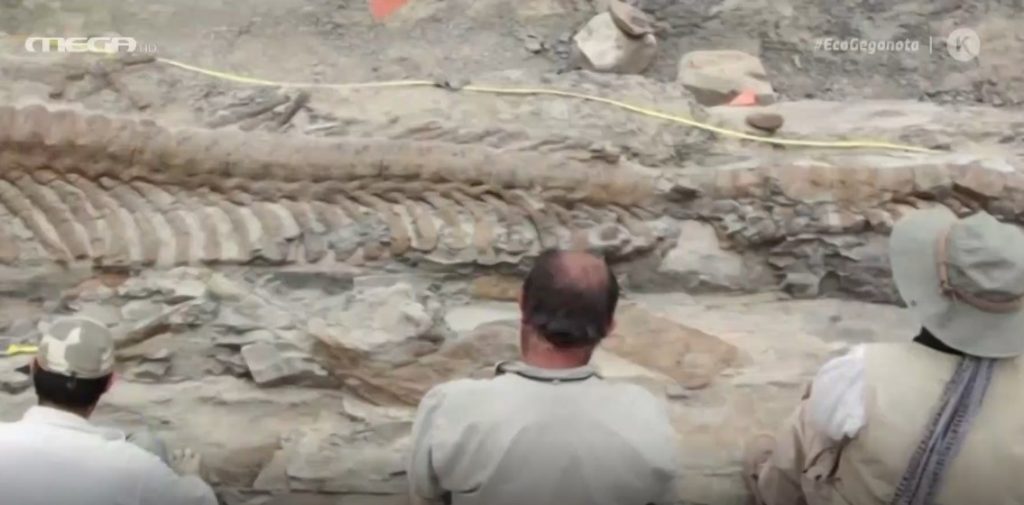 Ανακαλύφθηκε νέο είδος δεινοσαύρου στο Μεξικό