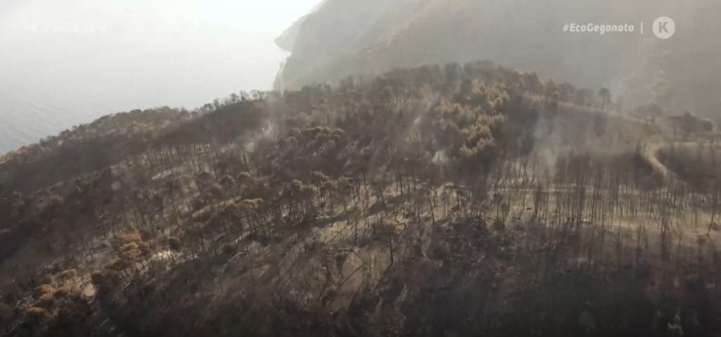 Αυτοψία στις πληγές που άφησε πίσω της η καταστροφική πυρκαγιά στα Γεράνεια Όρη
