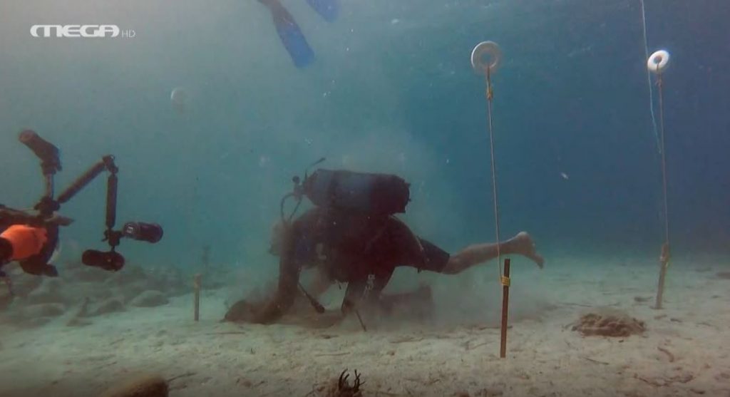 Υποθαλάσσια… αναδάσωση στα λιβάδια Ποσειδωνίας στους Λειψούς