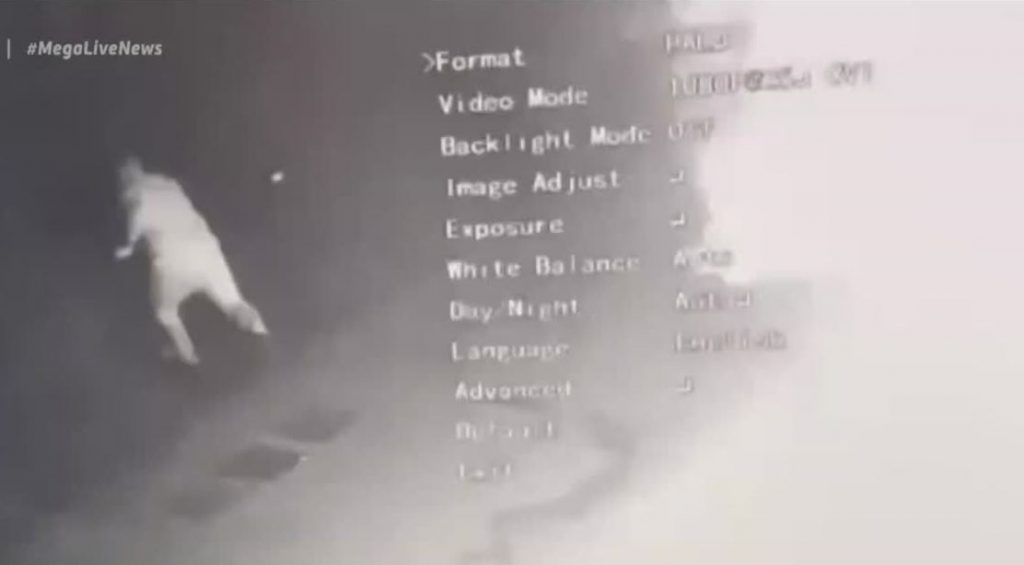 «Δεν σκοτώθηκα επειδή στάθηκα τυχερός» – Ο άνθρωπος που επιχείρησε να σβήσει τη φωτιά στο Βύρωνα στο LIVE NEWS