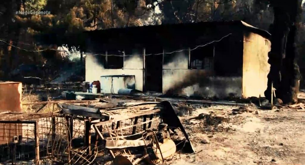 Βιβλική καταστροφή: 55.000 στρέμματα δάσους έγιναν στάχτη – Σπίτια παραδόθηκαν στις φλόγες