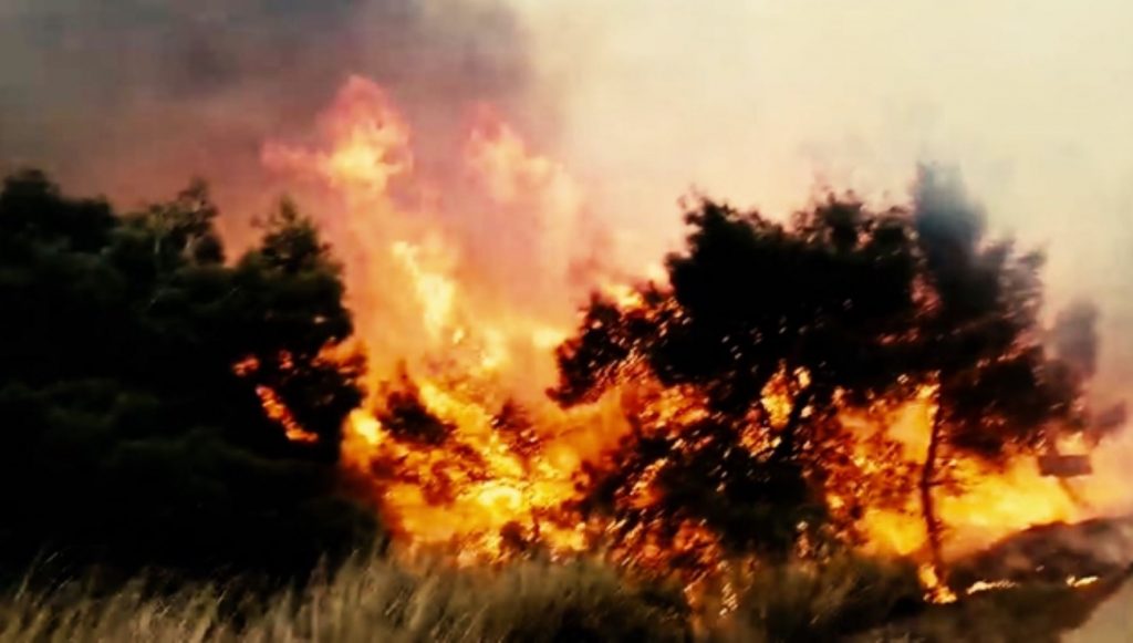 Ντοκουμέντα από τον πύρινο εφιάλτη στα Γεράνεια Όρη