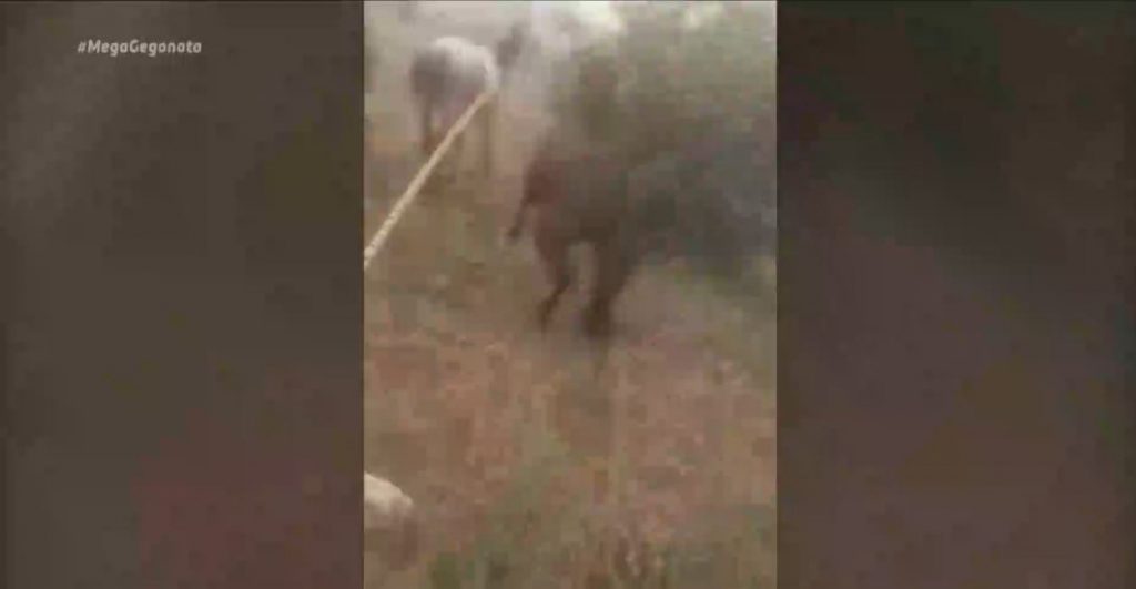 Φωτιά Κόρινθος: Οι δραματικές ώρες της φωτιάς στα Γεράνεια – Συγκλονιστική μαρτυρία τριών αδερφών