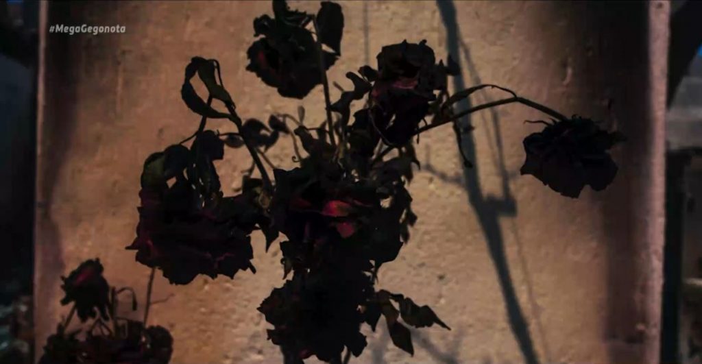 Φωτιά Κορινθία: Στάχτη οι κόποι μιας ζωής – Κάηκαν σπιτικά & περιουσίες