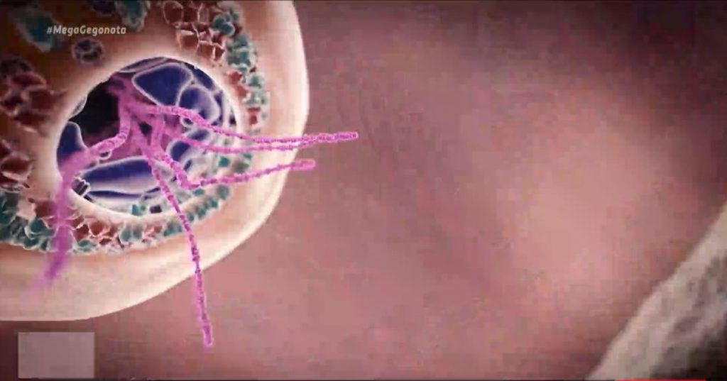 Κορωνοϊός: Συναγερμός για τις μεταλλάξεις στο κέντρο της Αθήνας