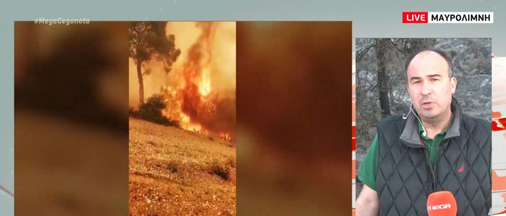 Φωτιά Κορινθία: Κάηκαν σπίτια – 20.000 στρέμματα δάσους παραδόθηκαν στις φλόγες