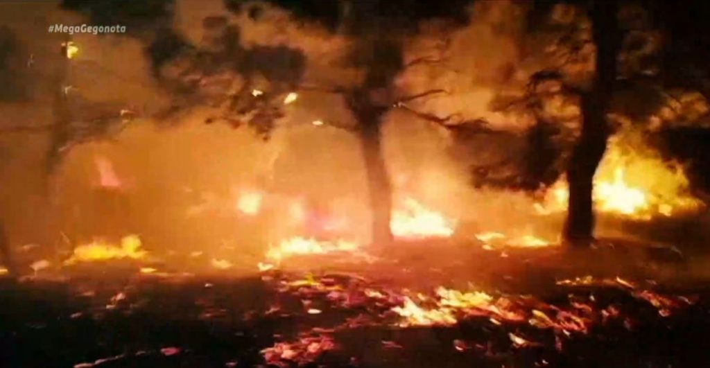 Φωτιά Κορινθία: Ολονύχτια «μάχη» με τις φλόγες – «Συγκρατημένη αισιοδοξία»