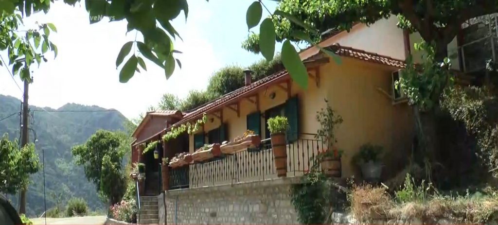 Πυροβόλησε τον φίλο του γιατί πίστευε ότι του σκότωσε τη γάτα