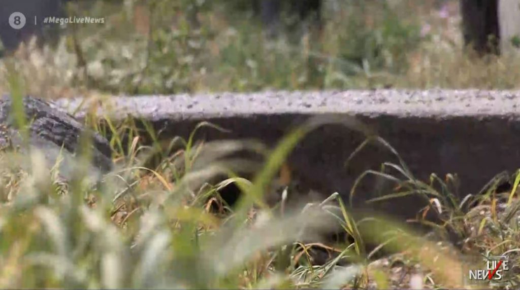 Σπαραγμός για τον φρικτό θάνατο του μικρού Γιώργου στα Νέα Μάλγαρα