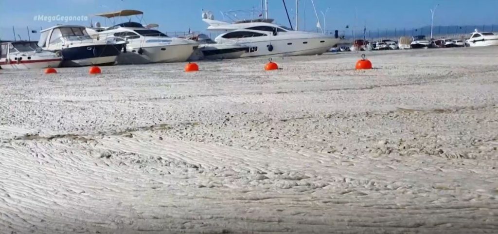 Τουρκία: Η θαλάσσια βλέννα δεν απειλεί τις ελληνικές ακτές