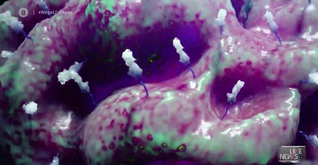 Κορωνοϊός: Συναγερμός για τη νέα μετάλλαξη του κορωνοϊού στην Κρήτη – Πόσοι νοσούν