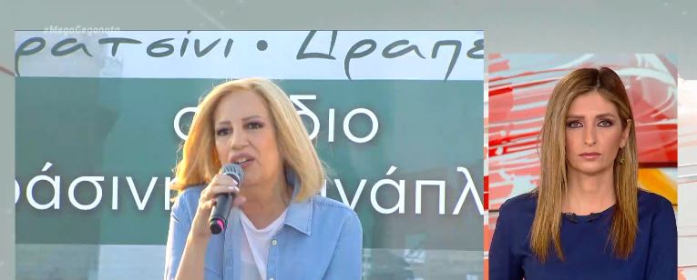 Γεννηματά: Να φύγουν οι ρυπογόνες βιομηχαχίες από Κερατσίνι – Δραπετσώνα