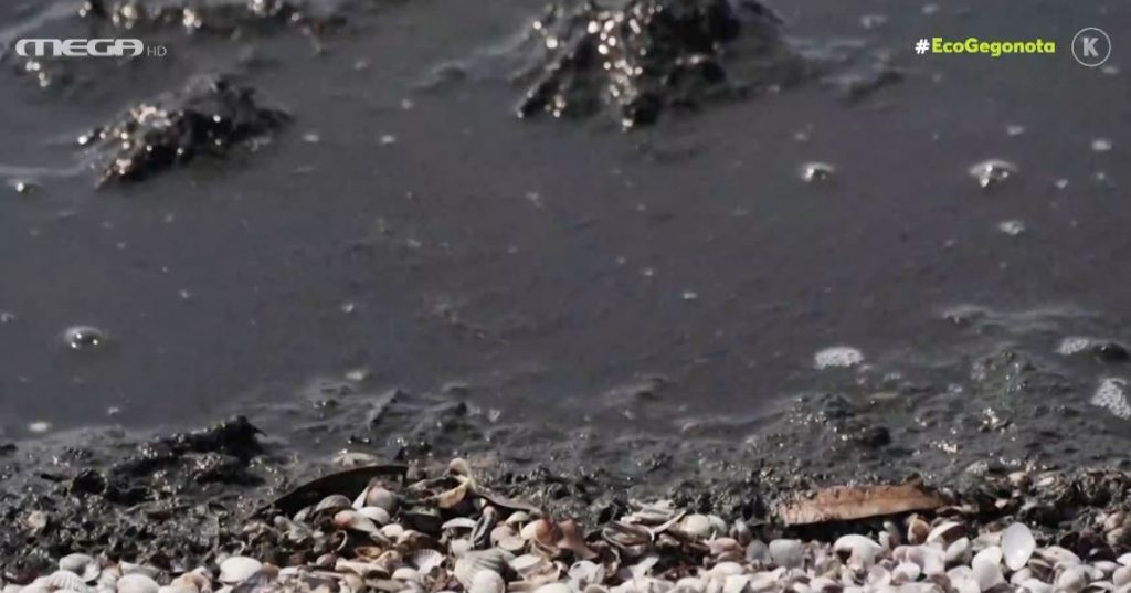 Τεράστια οικολογική καταστροφή στη λιμνοθάλασσα του Αιτωλικού