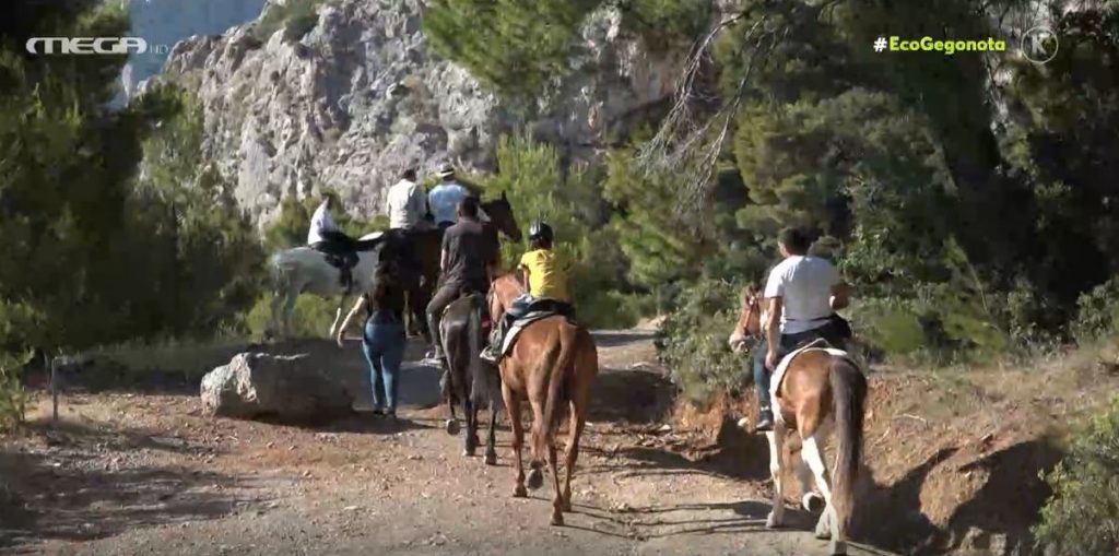 Ιππικές διαδρομές και ορεινή ποδηλασία στην Πάρνηθα