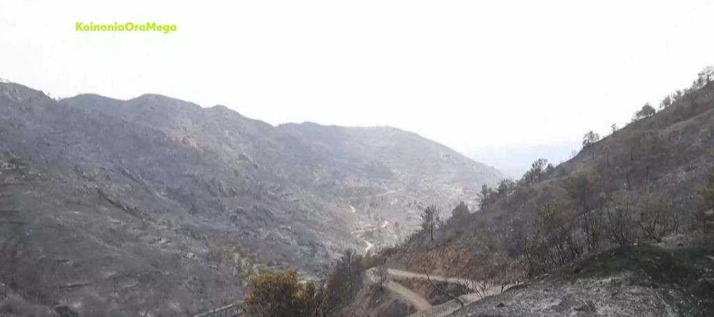 Κύπρος: Τέσσερις νεκροί από την πιο καταστροφική πυρκαγιά στην ιστορία της