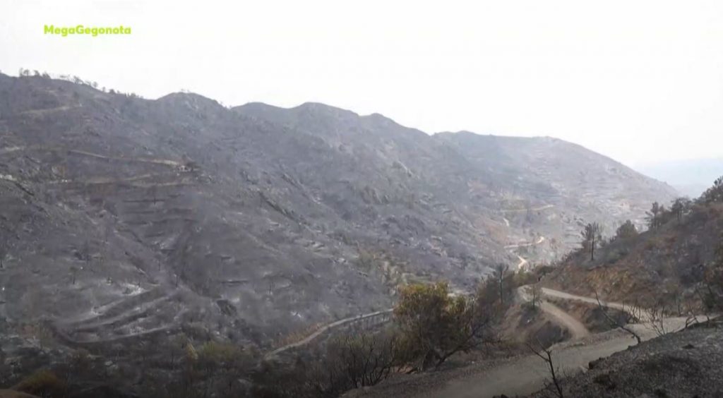 Κύπρος: Τέσσερις νεκροί ο τραγικός απολογισμός – Στάχτη περισσότερα από 55.000 στρέμματα δάσους & δεκάδες σπίτια