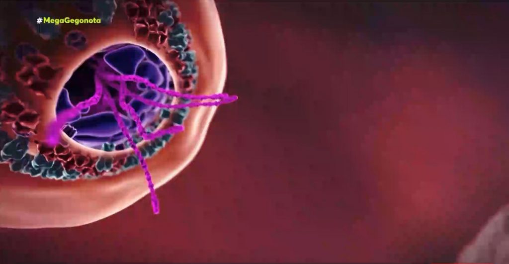 Κορωνοϊός: Καμπανάκι ειδικών για τη μετάλλαξη Δέλτα – Δραματικές προβλέψεις για αύξηση κρουσμάτων