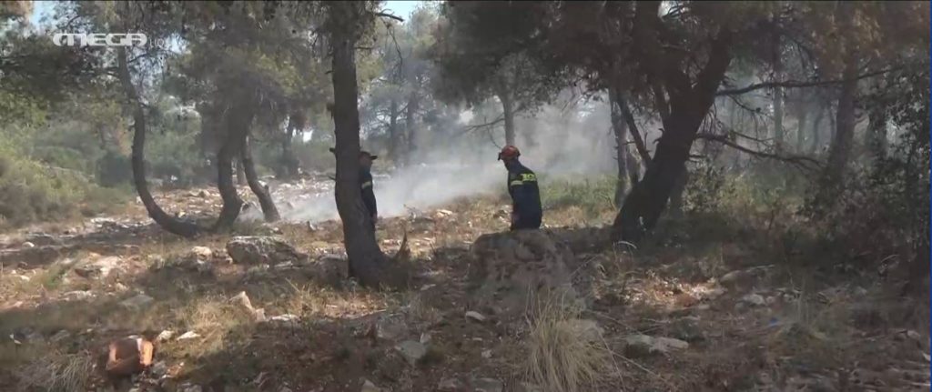 Καλαφατέλης για Διόνυσο: Καλύτερη αλλά δύσκολη η εικόνα της πυρκαγιάς