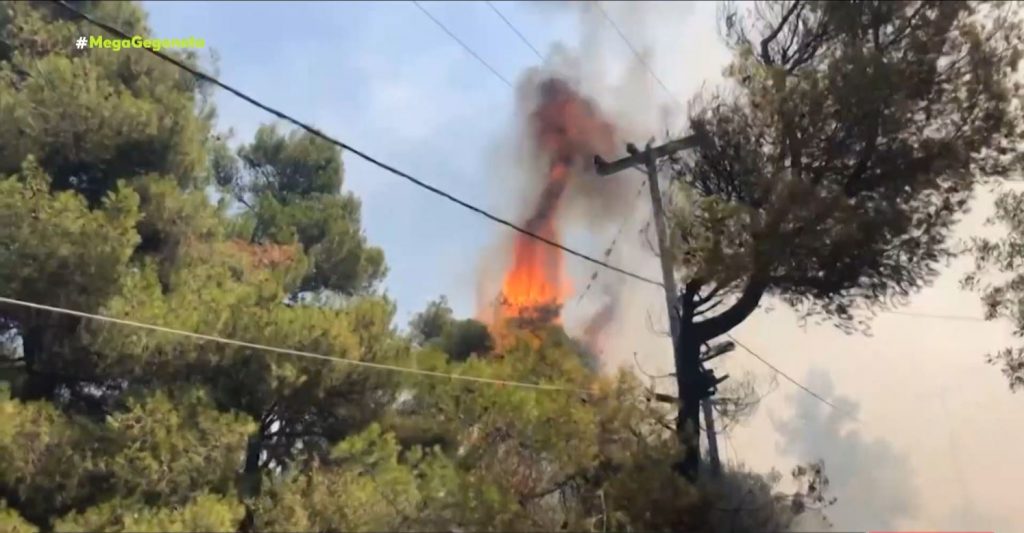 Φωτιά: Υπό μερικό έλεγχο η πυρκαγιά σε Σταμάτα, Ροδόπολη & Διόνυσο – Ισχυρές πυροσβεστικές δυνάμεις στα σημεία