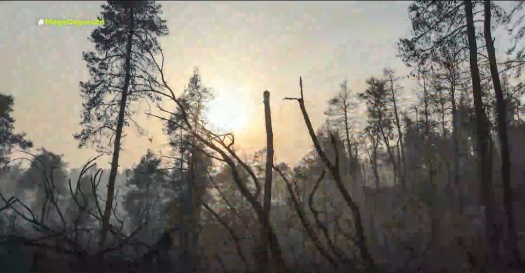 Φωτιές – Ισχυρές επίγειες & εναέριες δυνάμεις σε Εύβοια και Αρκαδία – Συνεχίζεται η μάχη με τις φλόγες