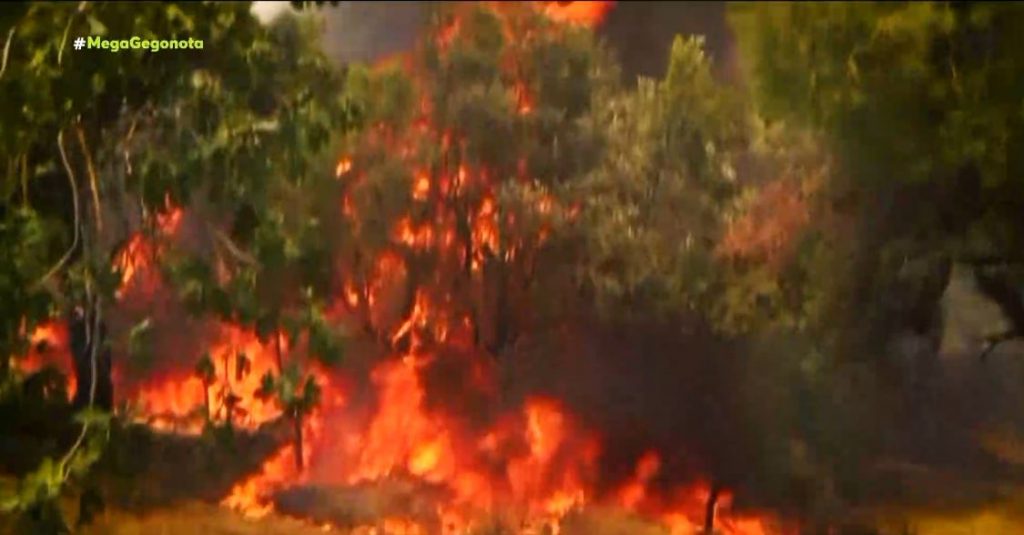 Φωτιές – Σε πύρινο κλοιό Εύβοια, Ηλεία & Μεσσηνία – Μάχη με τις φλόγες