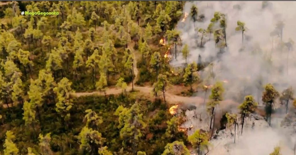 Εύβοια – Σκληρή μάχη με τις αναζωπυρώσεις – Μόνοι τους παλεύουν οι κάτοικοι