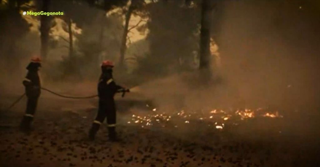 Πευκί – Πύρινος εφιάλτης – Κάηκαν σπίτια & αυτοκίνητα