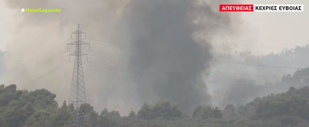 Φωτιά στην Εύβοια – Νέα αναζωπύρωση καίει το δάσος