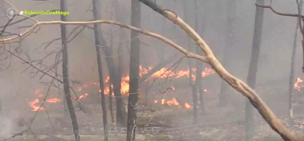 Περιφερειάρχης Στερεάς Ελλάδας – «Η κατάσταση είναι άνευ προηγουμένου»