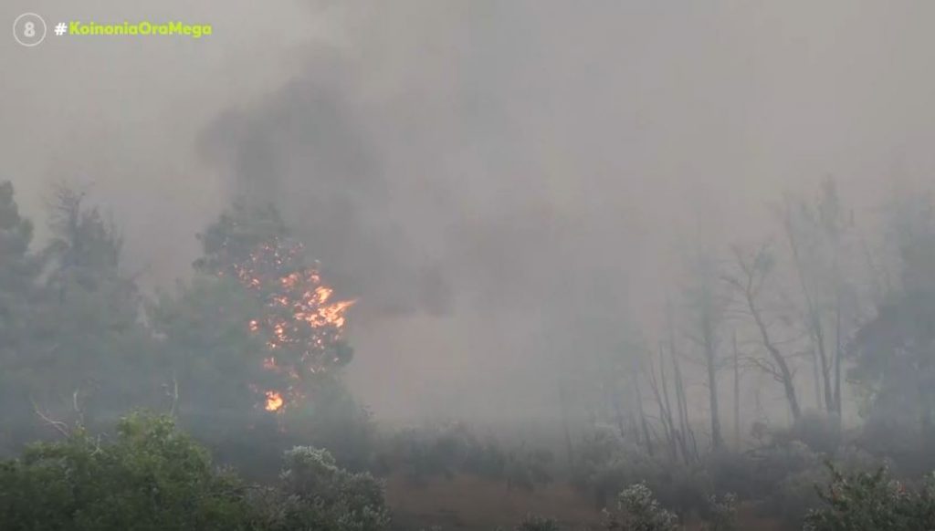 Στη «μάχη» για την κατάσβεση των πυρκαγιών και οι Ένοπλες Δυνάμεις
