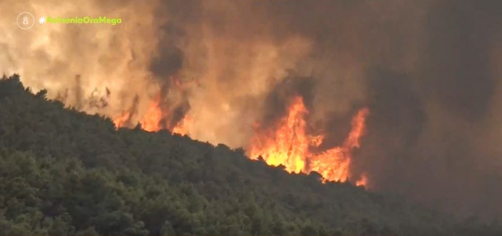 Μεγάλο μέτωπο στις Αφίδνες και τη Μαλακάσα