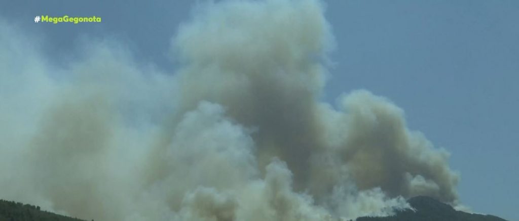 Πρόεδρος κοινότητας Αφιδνών – «Θα κάνω μήνυση κατ’ αγνώστων και θα ζητήσω να αποδοθούν ευθύνες – Ανοργάνωτα & διαλυμένα τα πάντα»