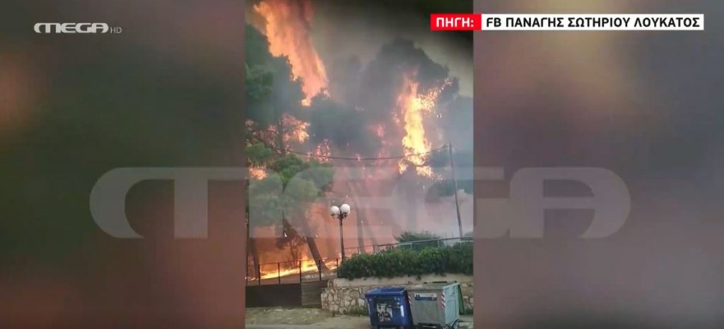 Ανατριχιαστικές εικόνες – Η φωτιά καίει την πλατεία του Κρυονερίου