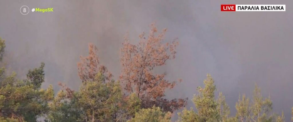 Φωτιά στην Εύβοια – Έκκληση για περισσότερα εναέρια μέσα έκανε ο Φάνης Σπανός