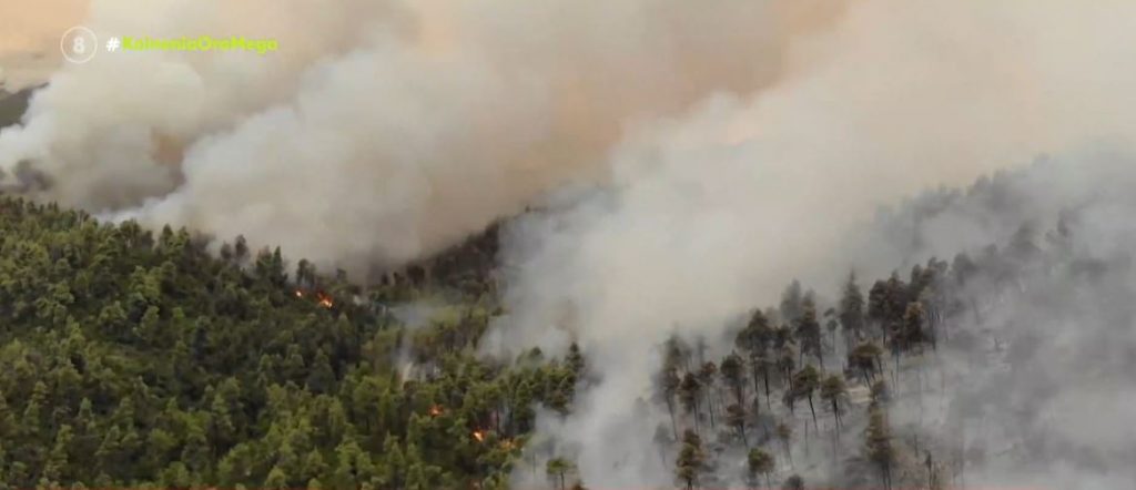Οι επιπτώσεις των καταστροφικών πυρκαγιών – Στάχτη εκατοντάδες χιλιάδες στρέμματα σε όλη τη χώρα  